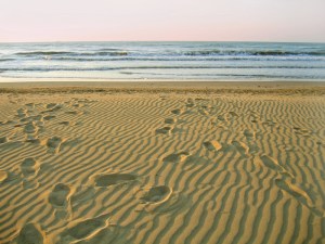 morning empty beach and footprints on sand
