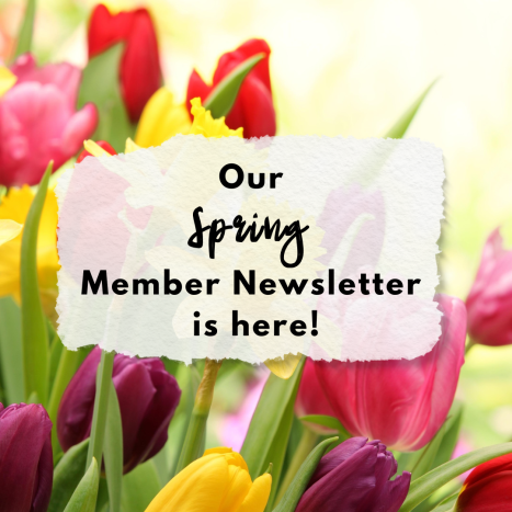 Spring 2025 Newsletter | blog.firstffcu.com